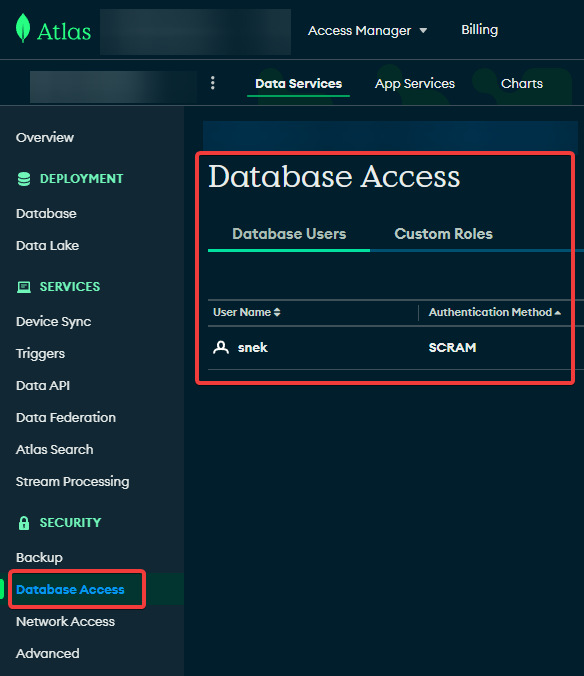 Database-Access